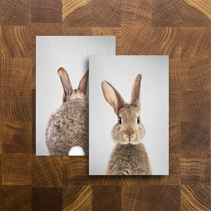 2pcs Kawaii Rabbit Canvas Paintings for Home Decor
